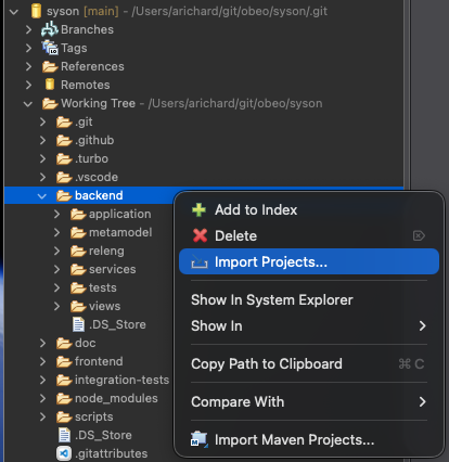 Import projects